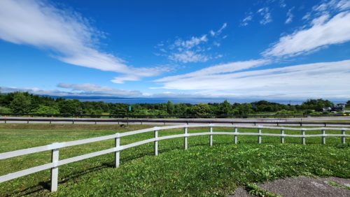 良い景色ですね