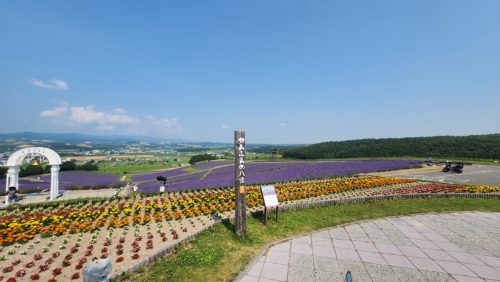 そしてラベンダー