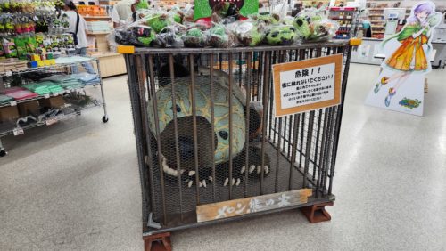 店内にあった檻