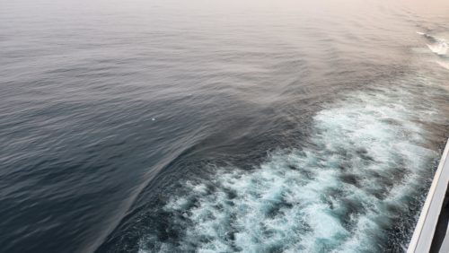 海面には・・・