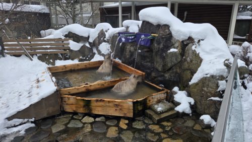 風呂全景(エリア外)