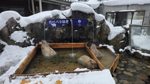 風呂全景(エリア内)