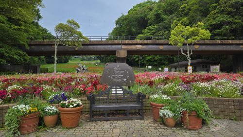 第1駐車場側入口