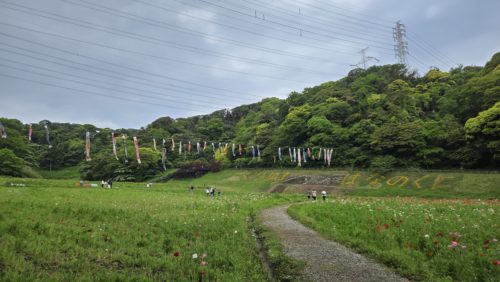 まだ中間・・・