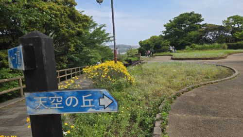 奥に進むほどネモフィラが咲いていました