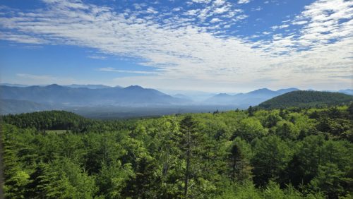 樹海台駐車場からの青木ヶ原樹海