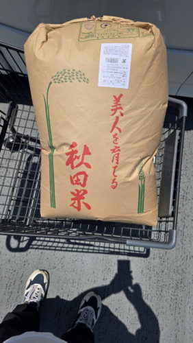 玄米30kg 