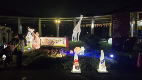 正門前のイルミ